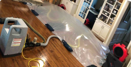 Clean Up