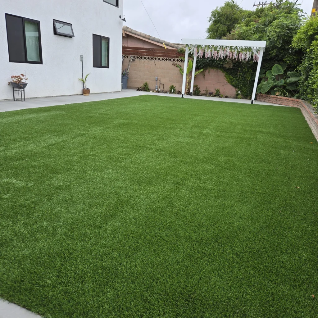Backyard lawn with pergola