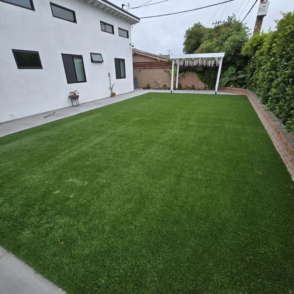 Backyard lawn beside a white house