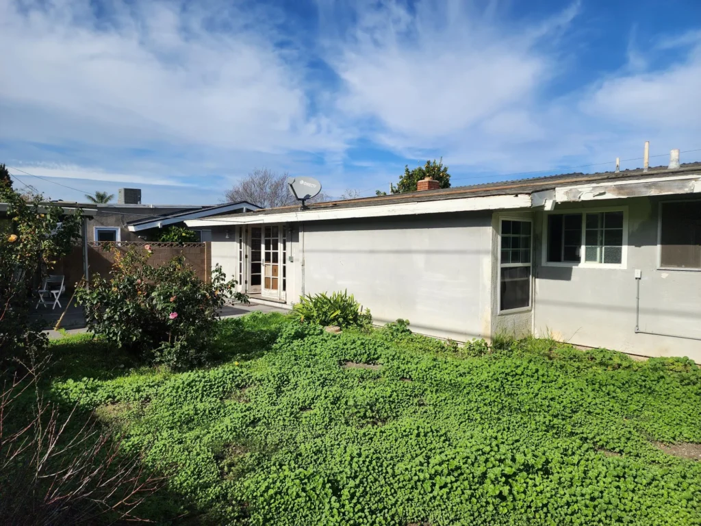Single-story house and garden